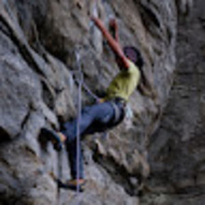 Meet your Posher, Ronnie